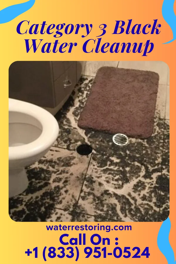 Category 3 Black Water Cleanup in Signal Mountain, TN