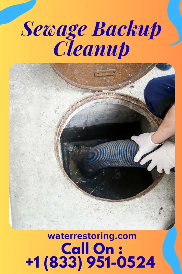 Sewage Backup Cleanup in Signal Mountain, TN