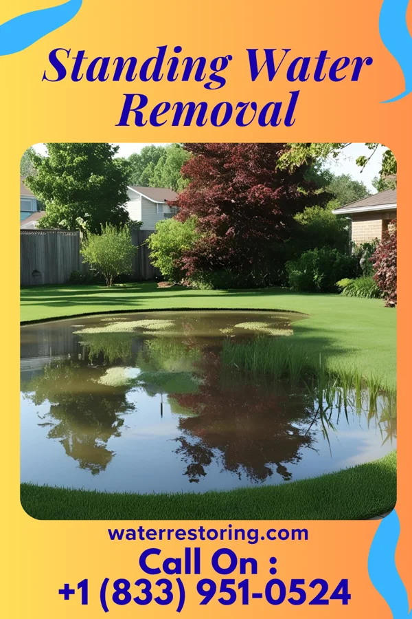 Standing Water Removal in Signal Mountain, TN